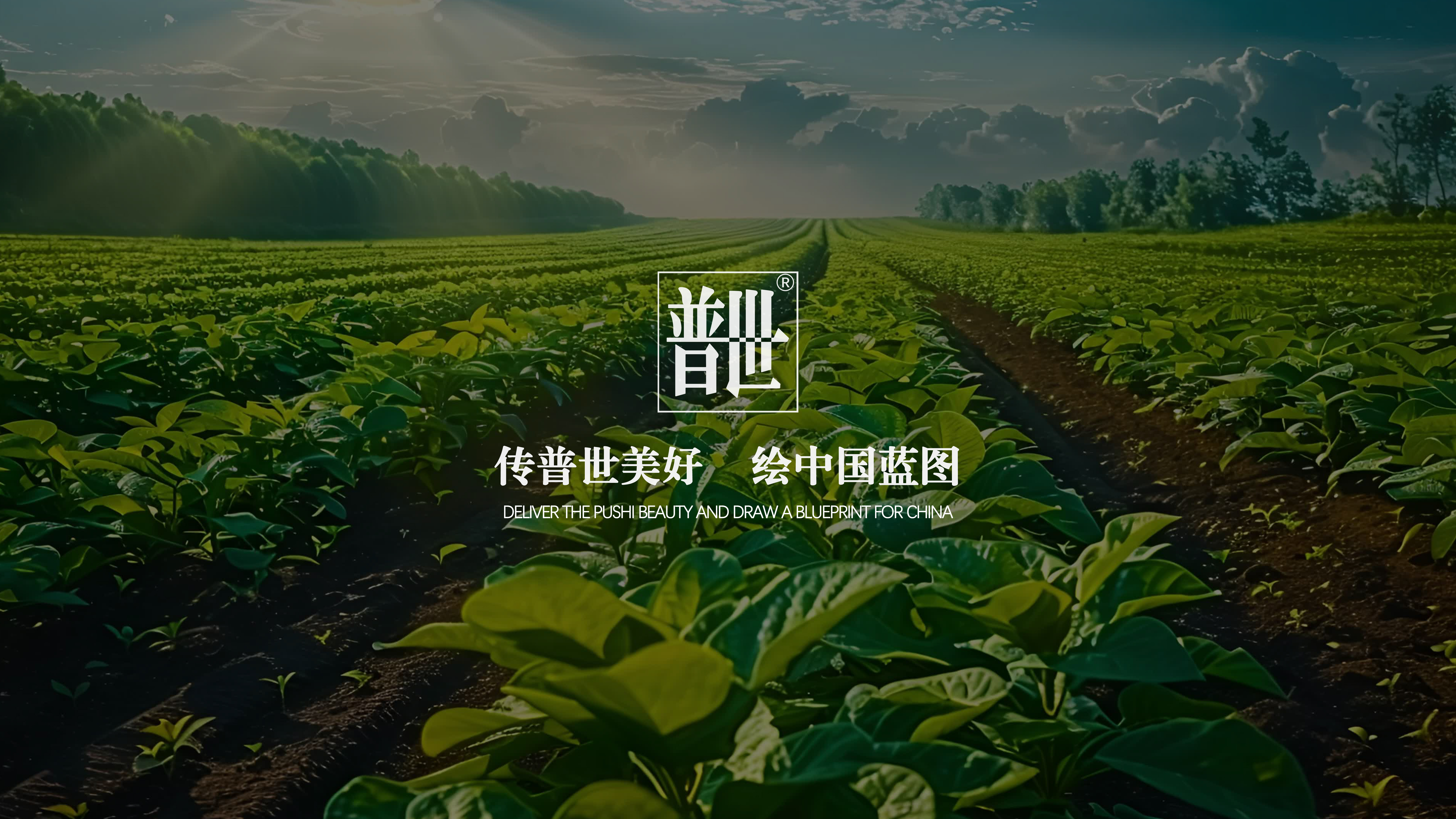 主图1