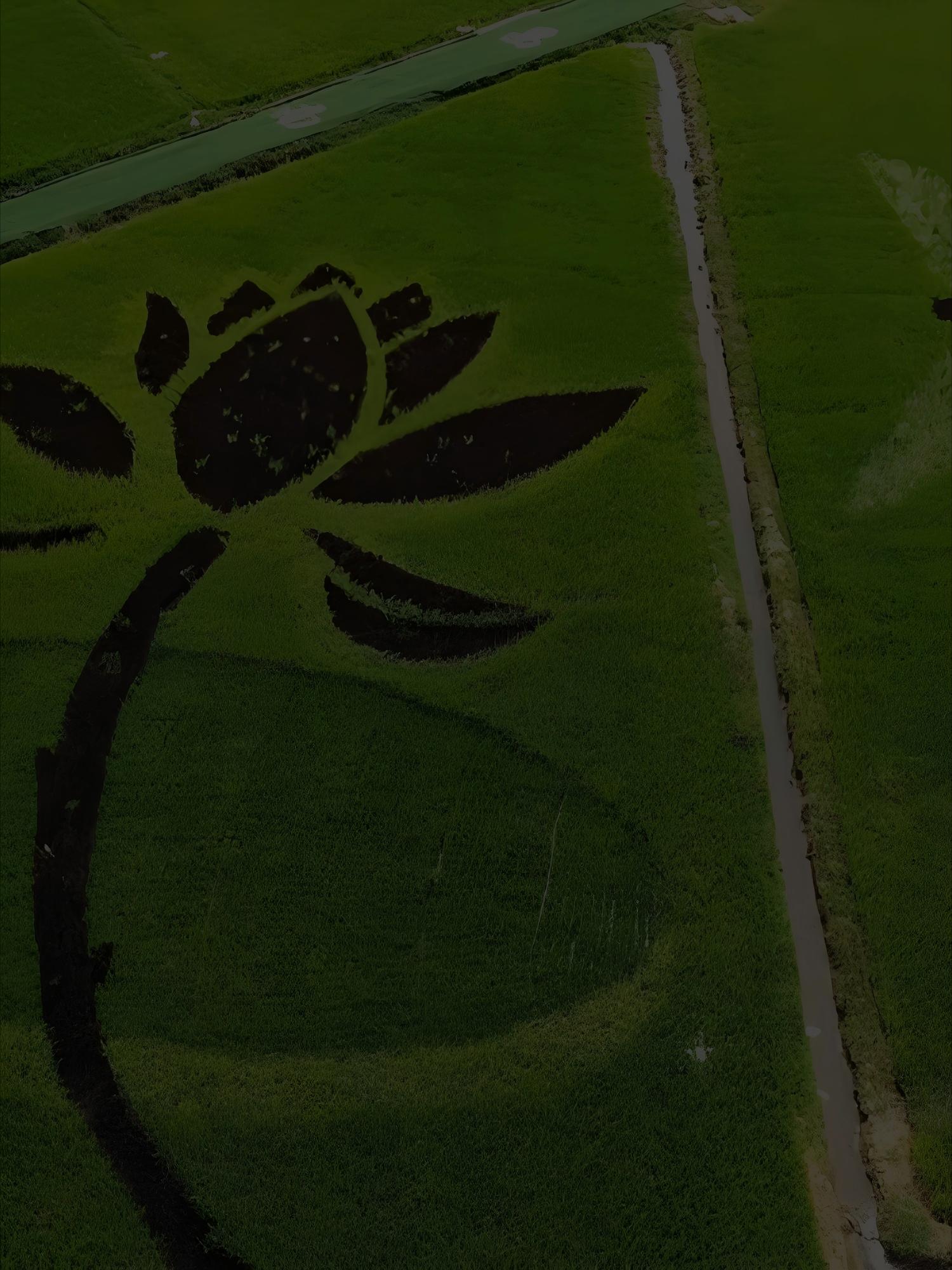 Image602